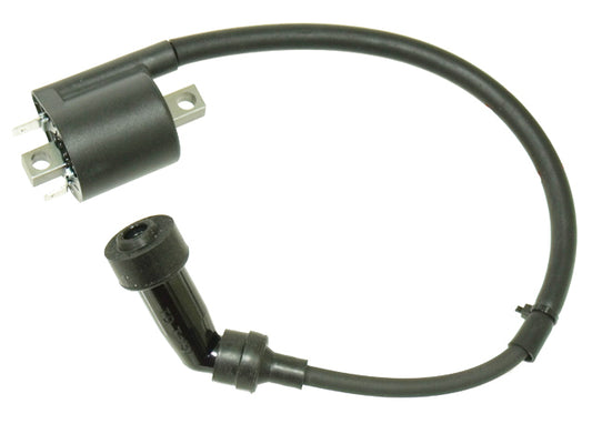 Atv Ignition Coil