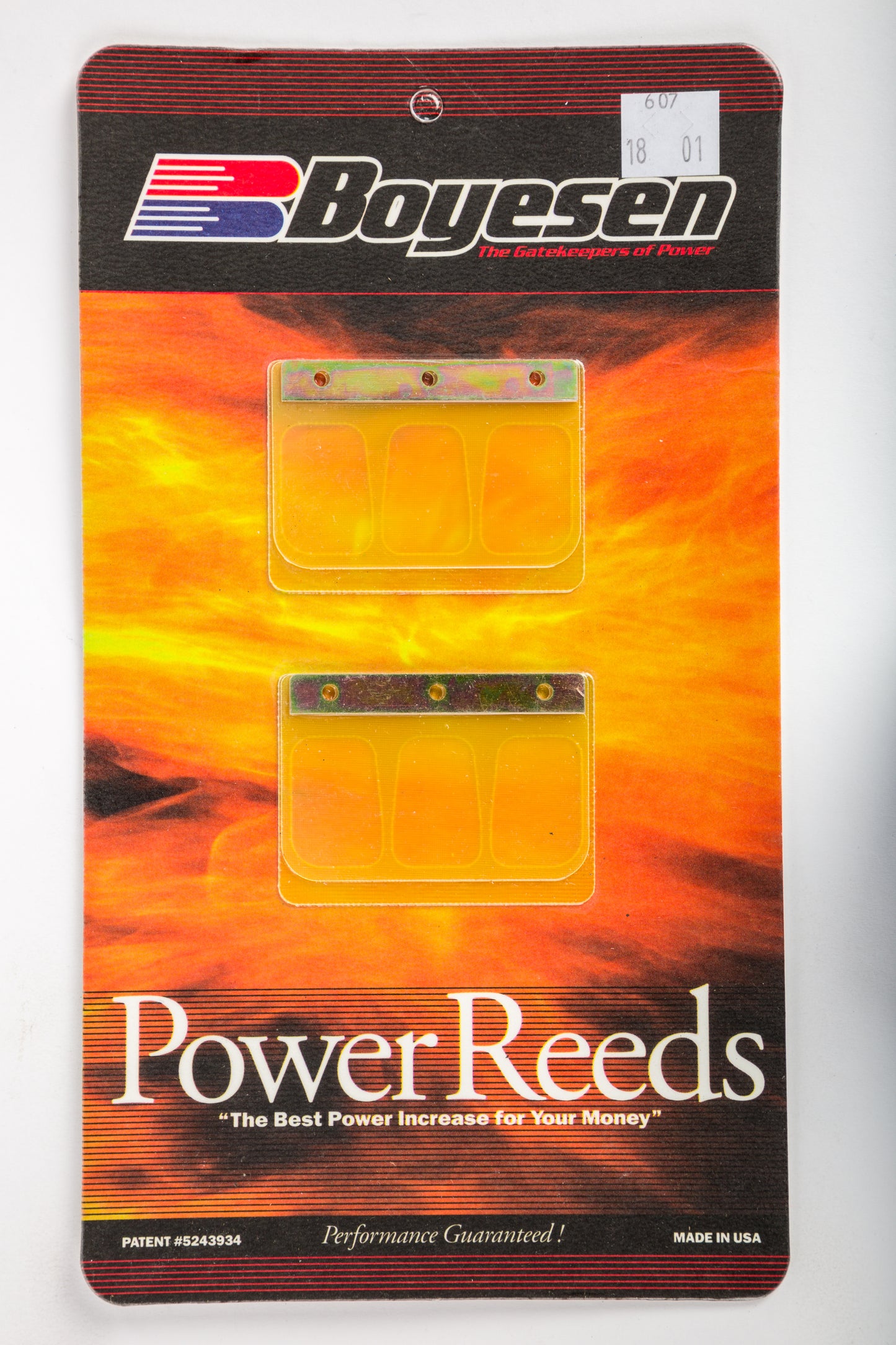 Motorcycle Reeds