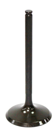 Intake Valve