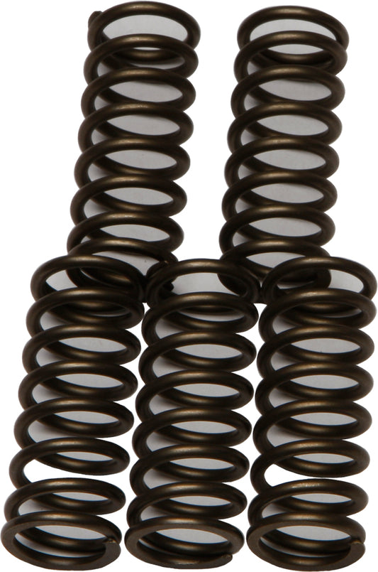 Clutch Springs Csk180