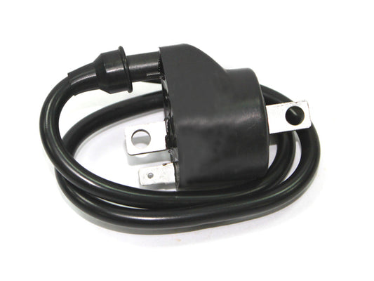 Atv Ignition Coil