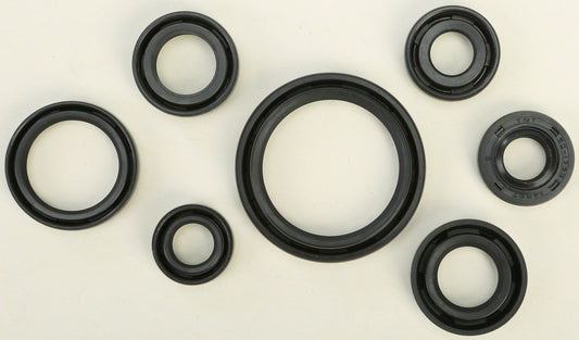 Oil Seal Set