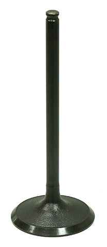 Intake Valve