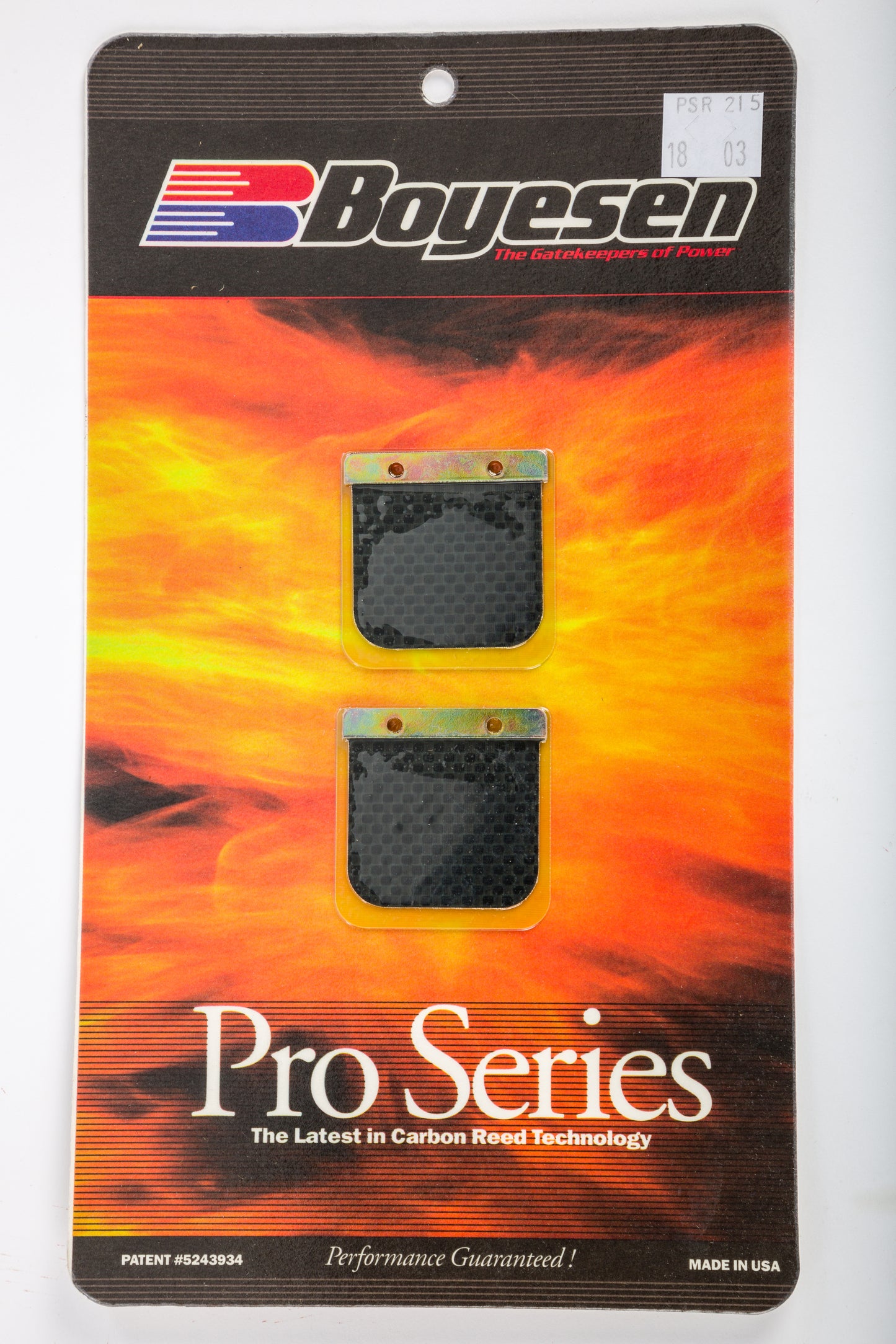 Motorcycle Pro Reeds