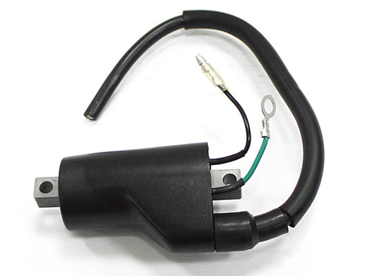 Atv Ignition Coil
