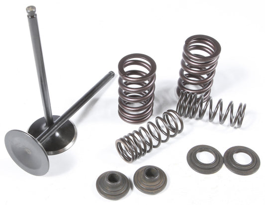 Intake Valve/Spring Kit Stainless Steel