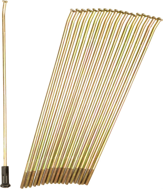 Double Butted Spokes Gold/Black Front 21" 36/Pk