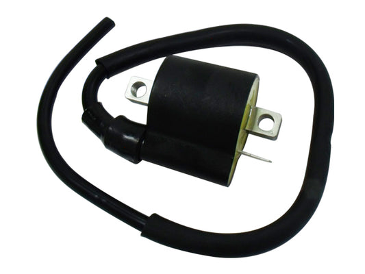 Atv Ignition Coil