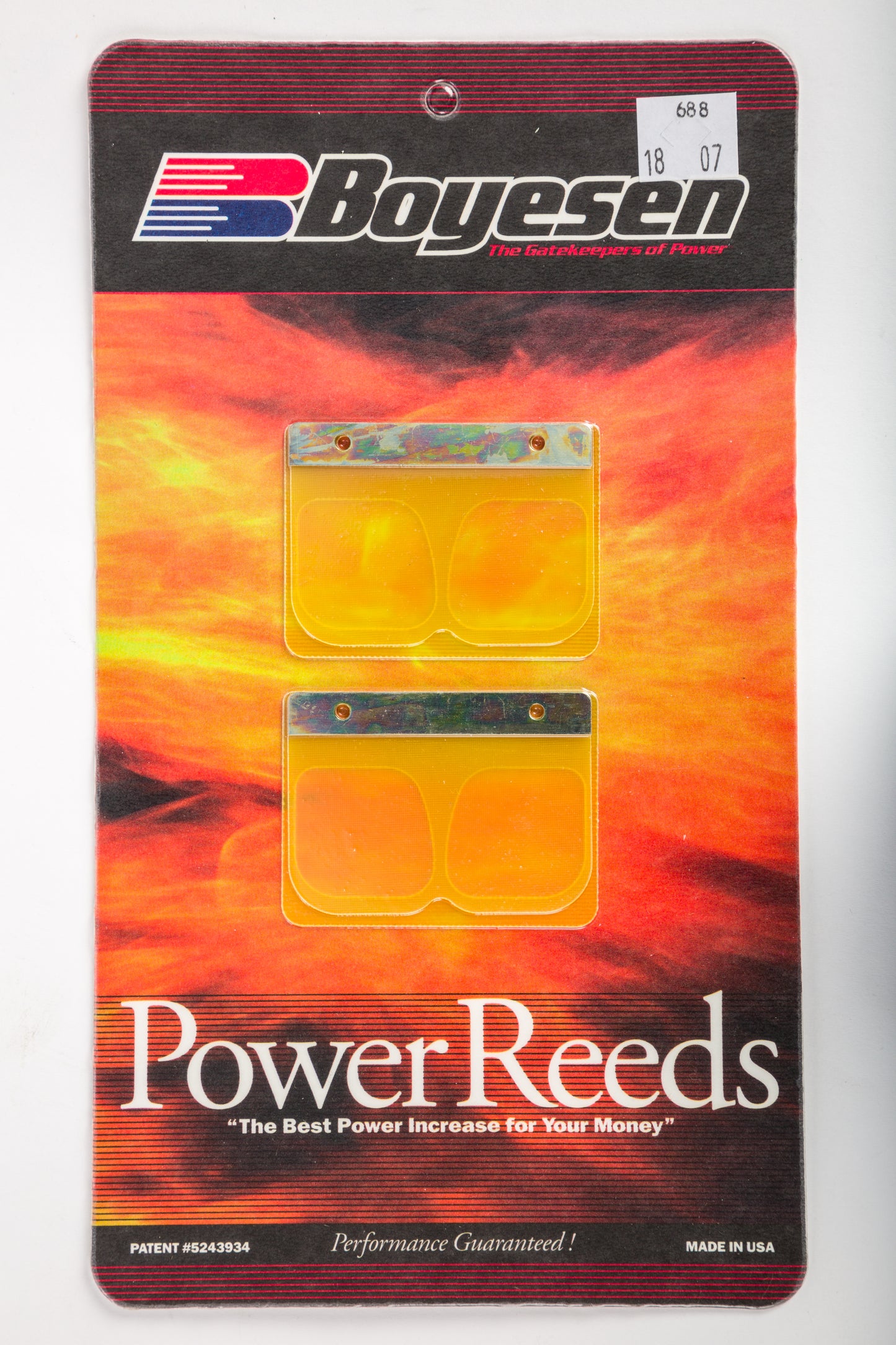 Motorcycle Reeds