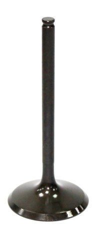 Exhaust Valve