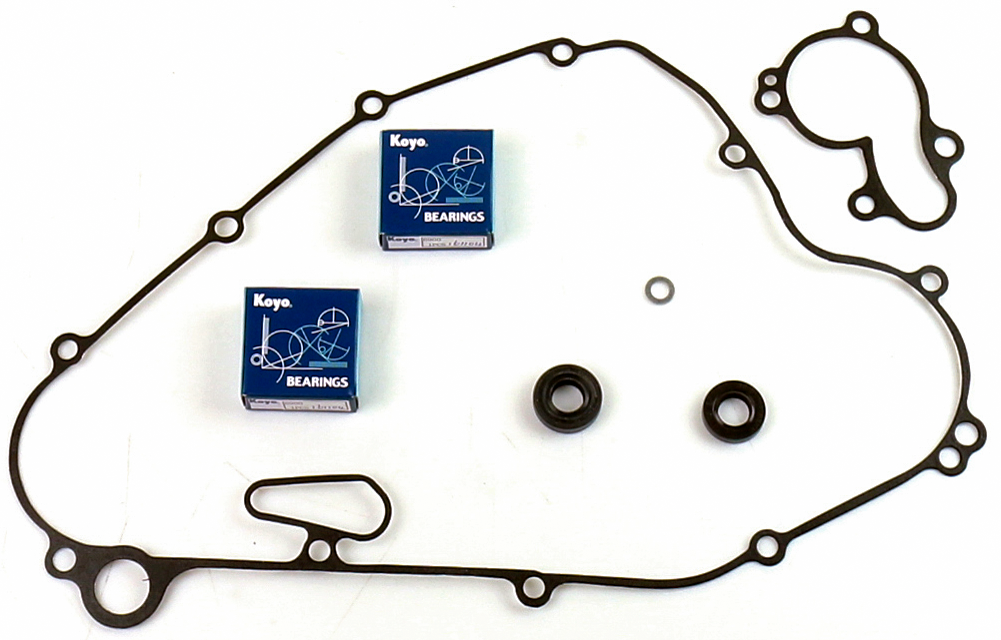 Water Pump Repair Kit W/Bearings Kaw