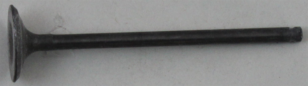 Exh Valve  Dr250s '90 95
