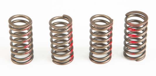 Clutch Springs