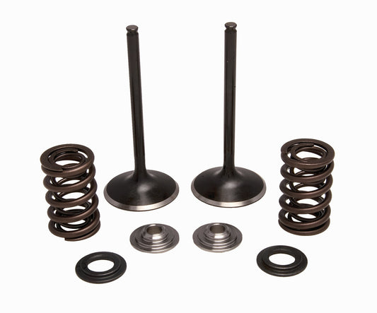 Intake Valve/Spring Kit Stainless