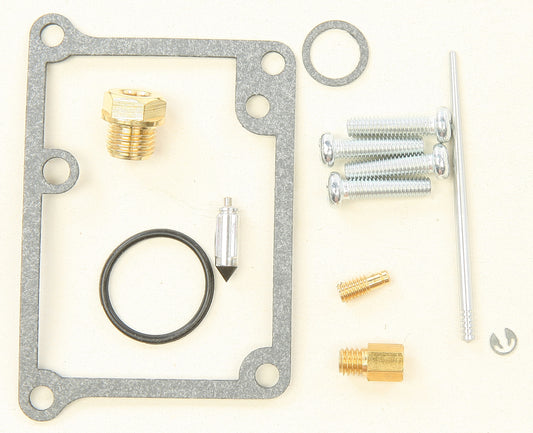 Bike Carburetor Rebuild Kit
