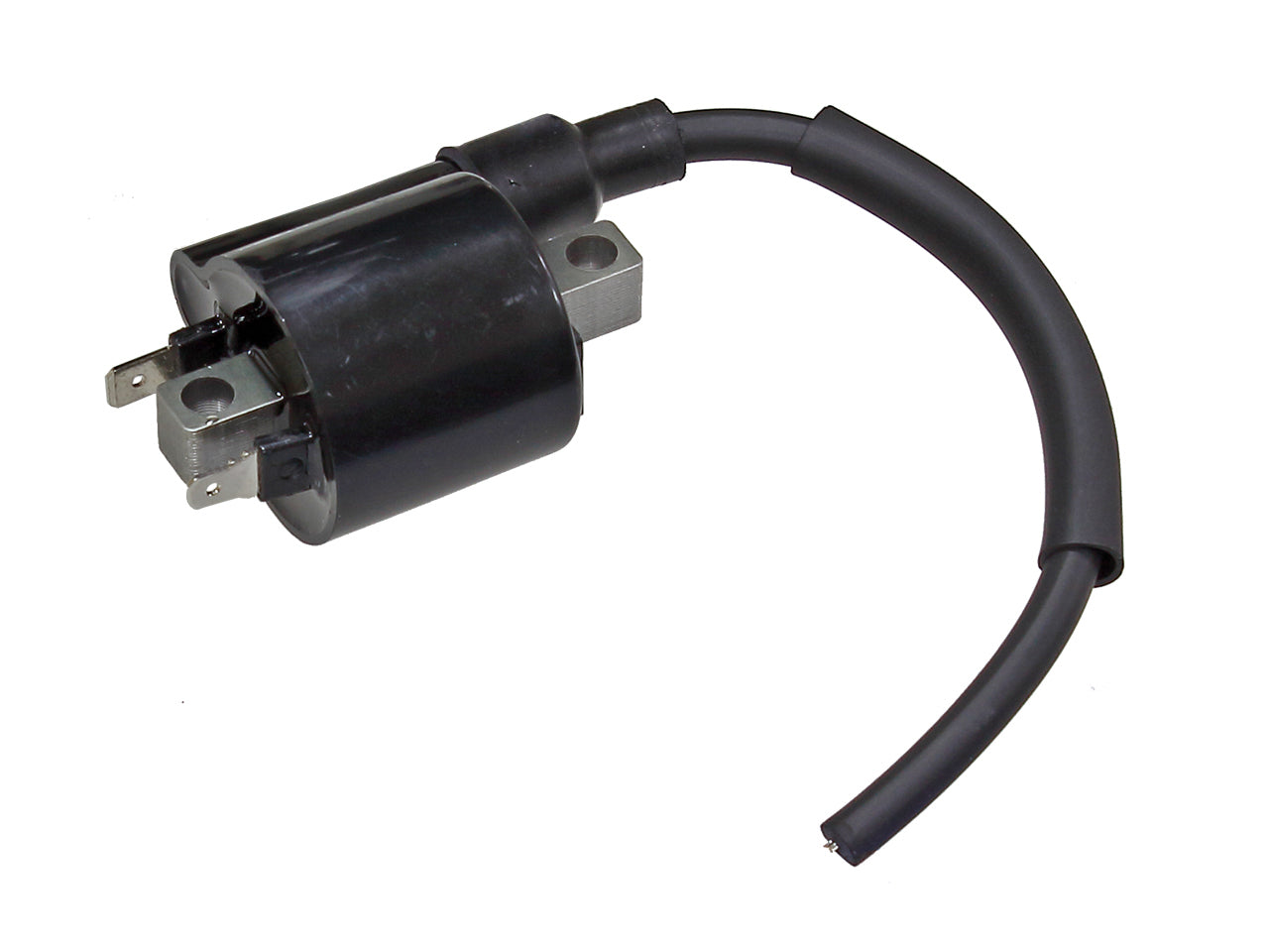 Atv Ignition Coil