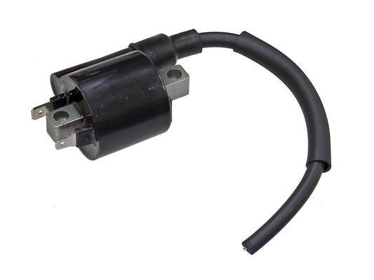 Atv Ignition Coil
