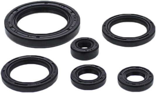 Oil Seal Set