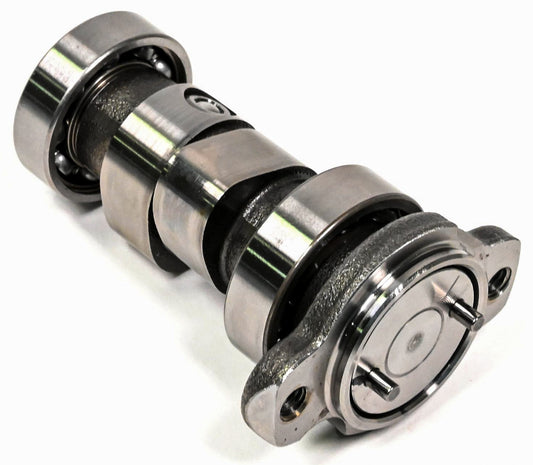 Camshaft   High Performance