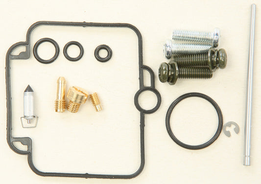 Bike Carburetor Rebuild Kit