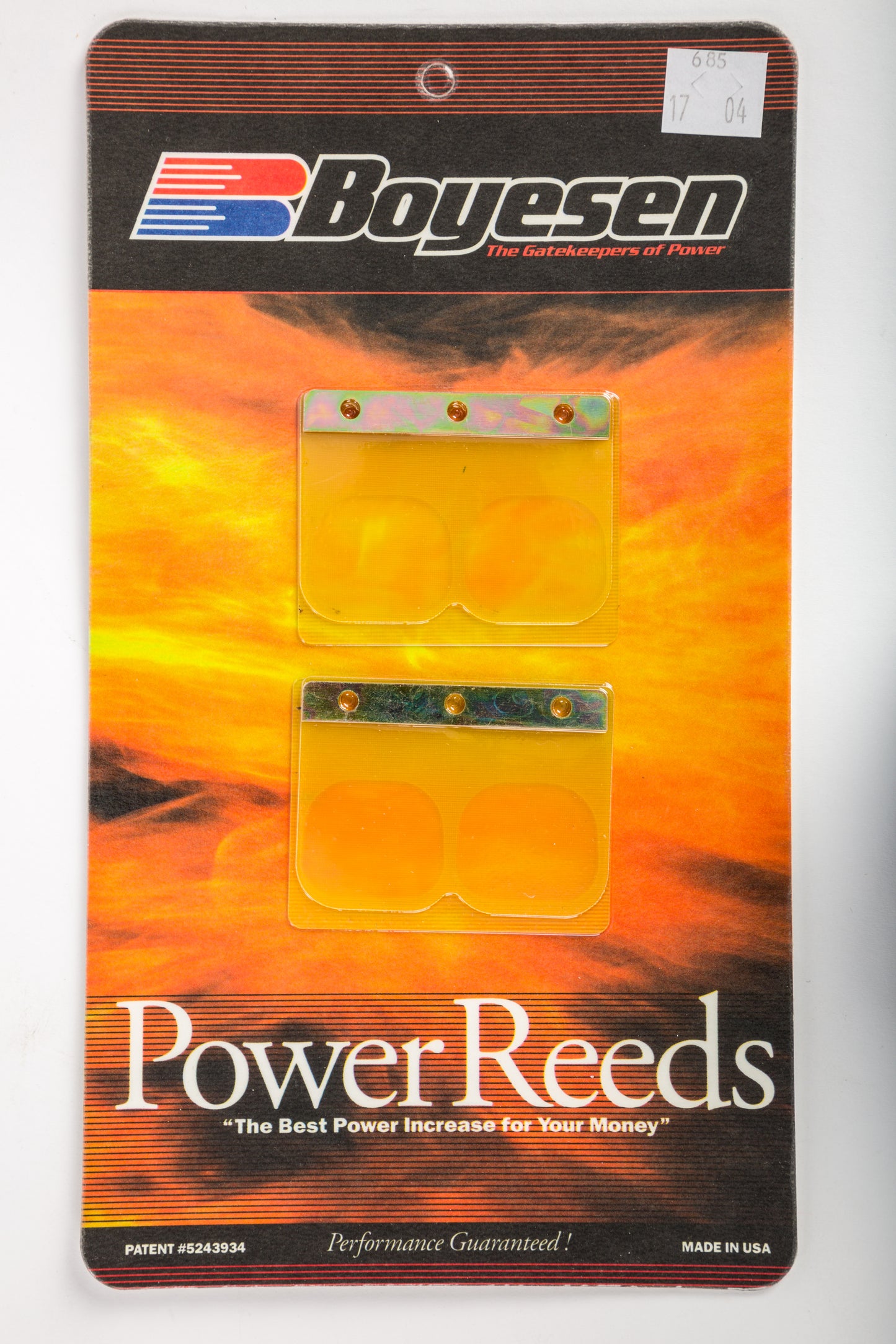 Motorcycle Reeds