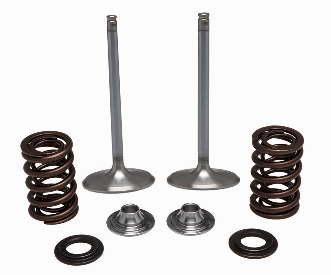 Ss Intake Valve/Spring Kit