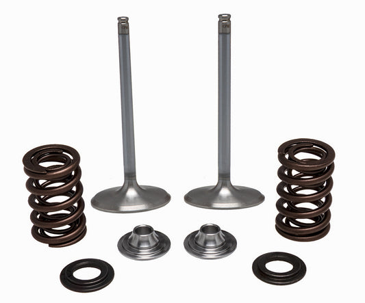 Ss Intake Valve/Spring Kit