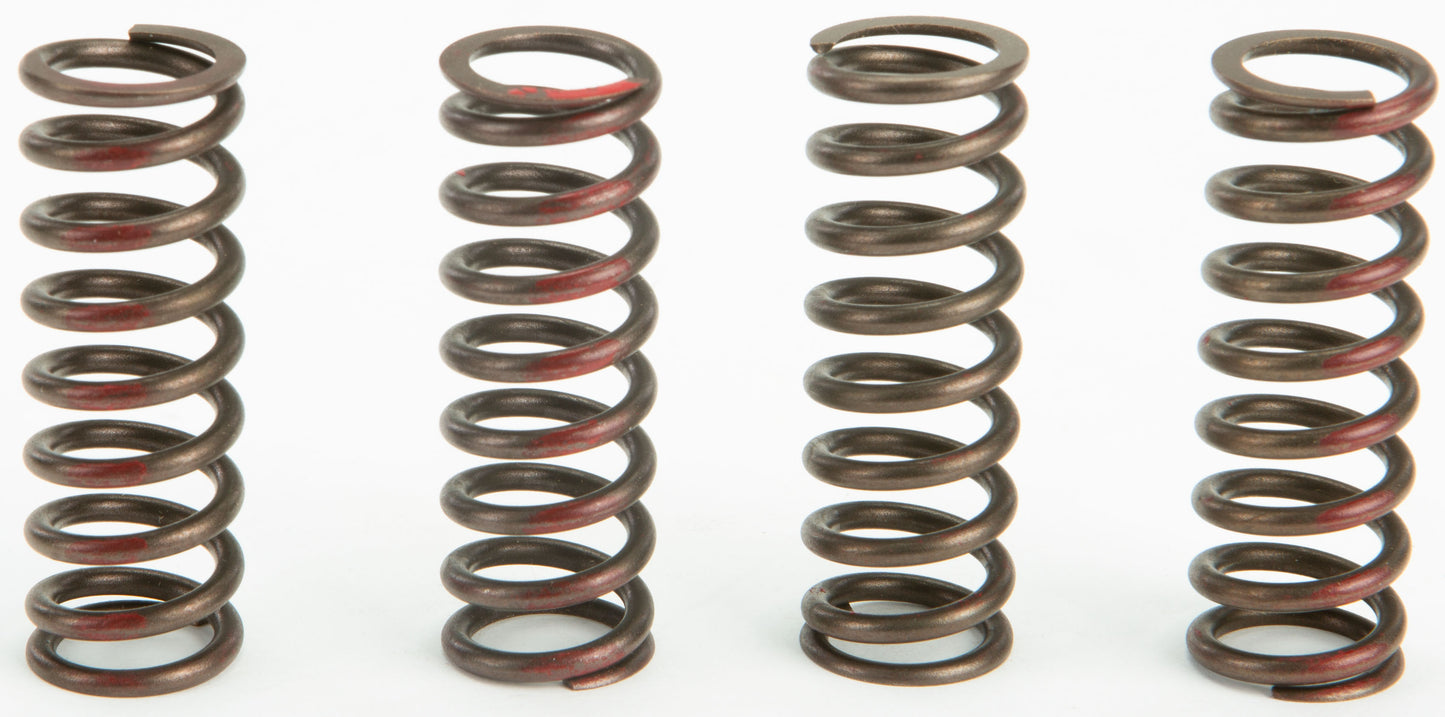 Clutch Springs