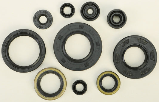 Oil Seal Set