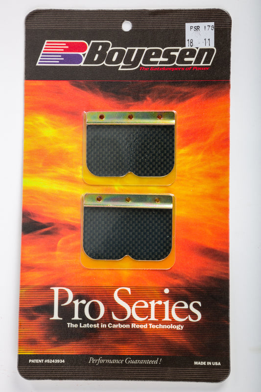 Motorcycle Pro Reeds