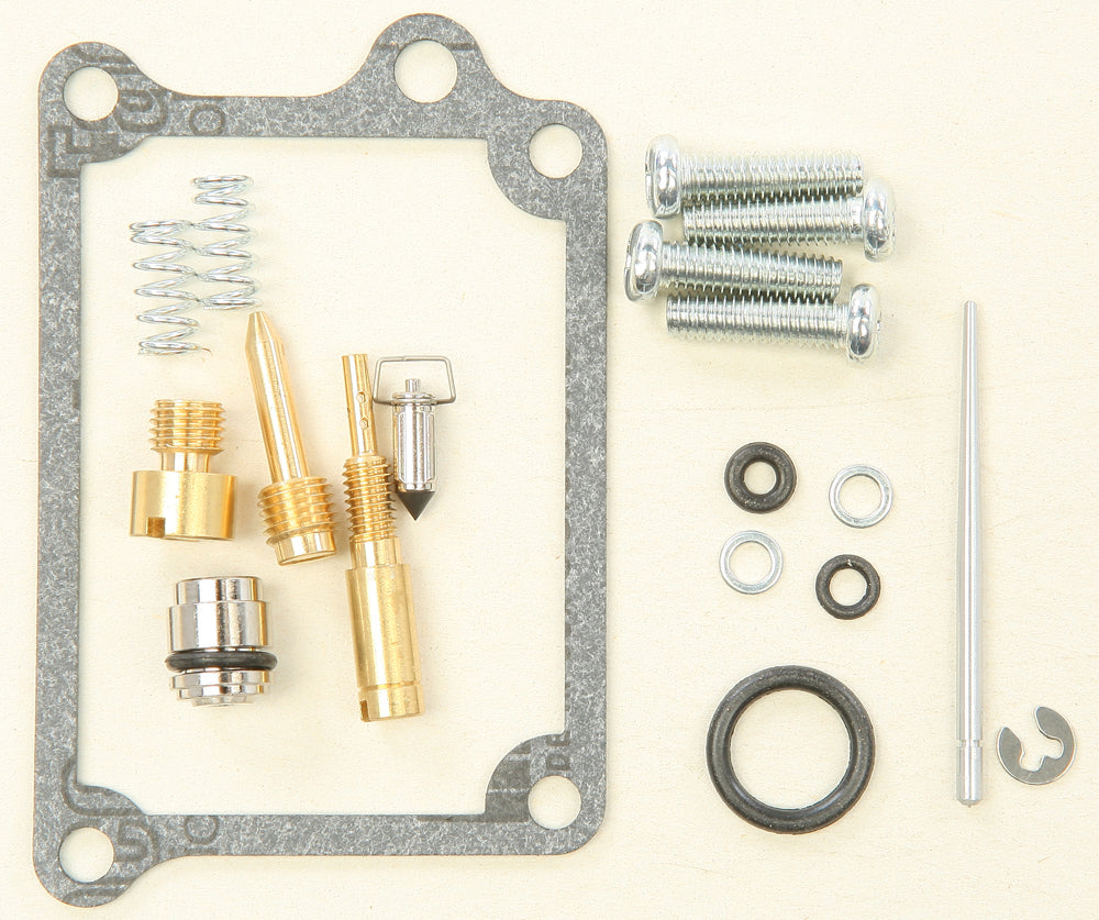 Bike Carburetor Rebuild Kit