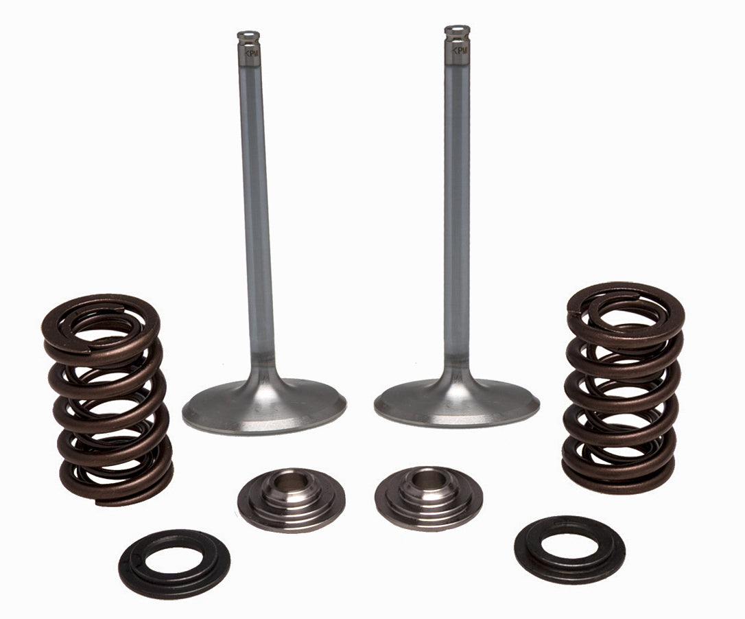 Ss Intake Valve/Spring Kit