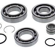 Rear Differential Bearing And Seal Kit