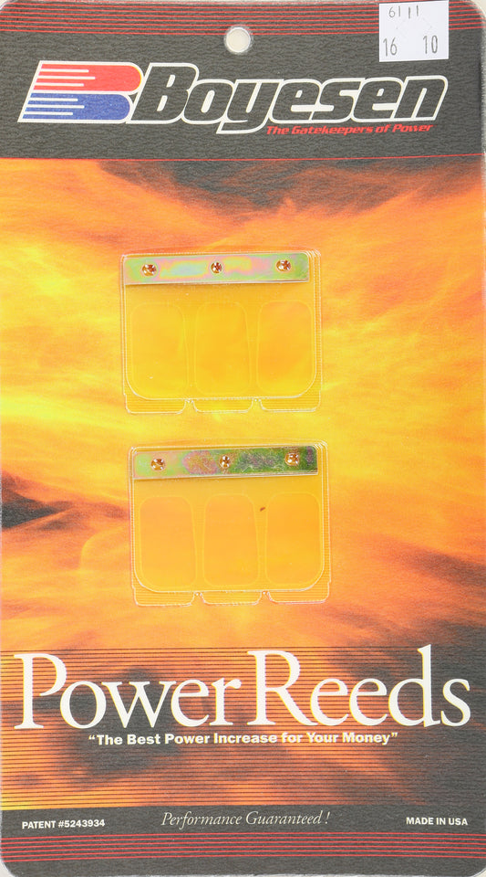 Motorcycle Reeds
