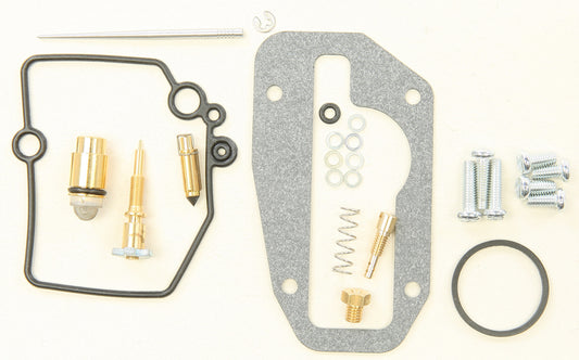 Bike Carburetor Rebuild Kit