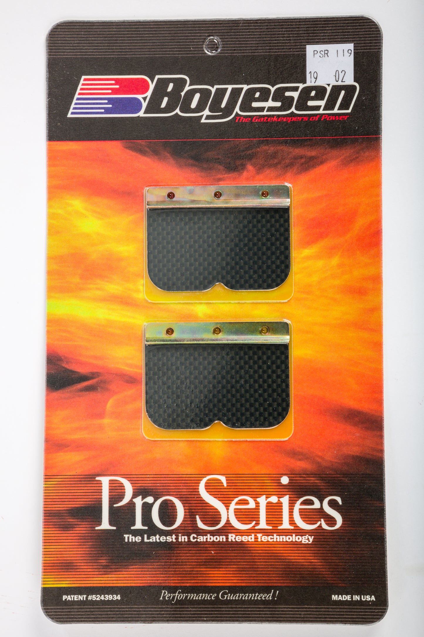 Motorcycle Pro Reeds