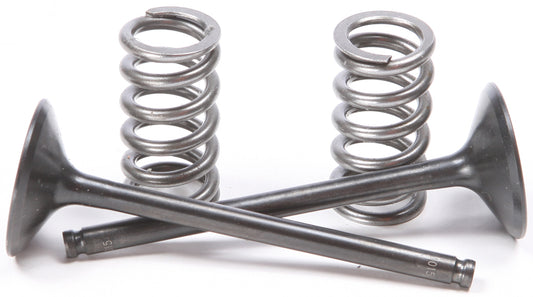 Exhaust Valve Conversion Set Ti Steel Yam