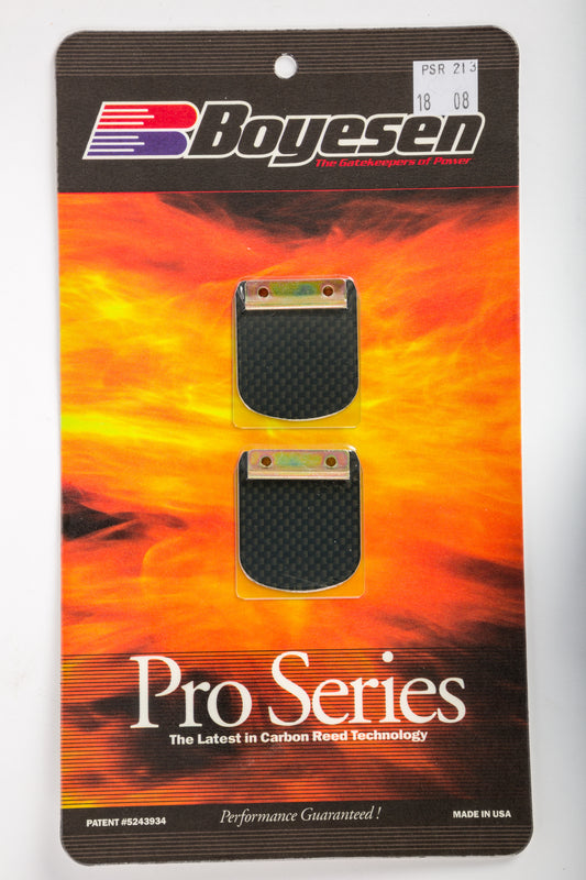 Motorcycle Pro Reeds