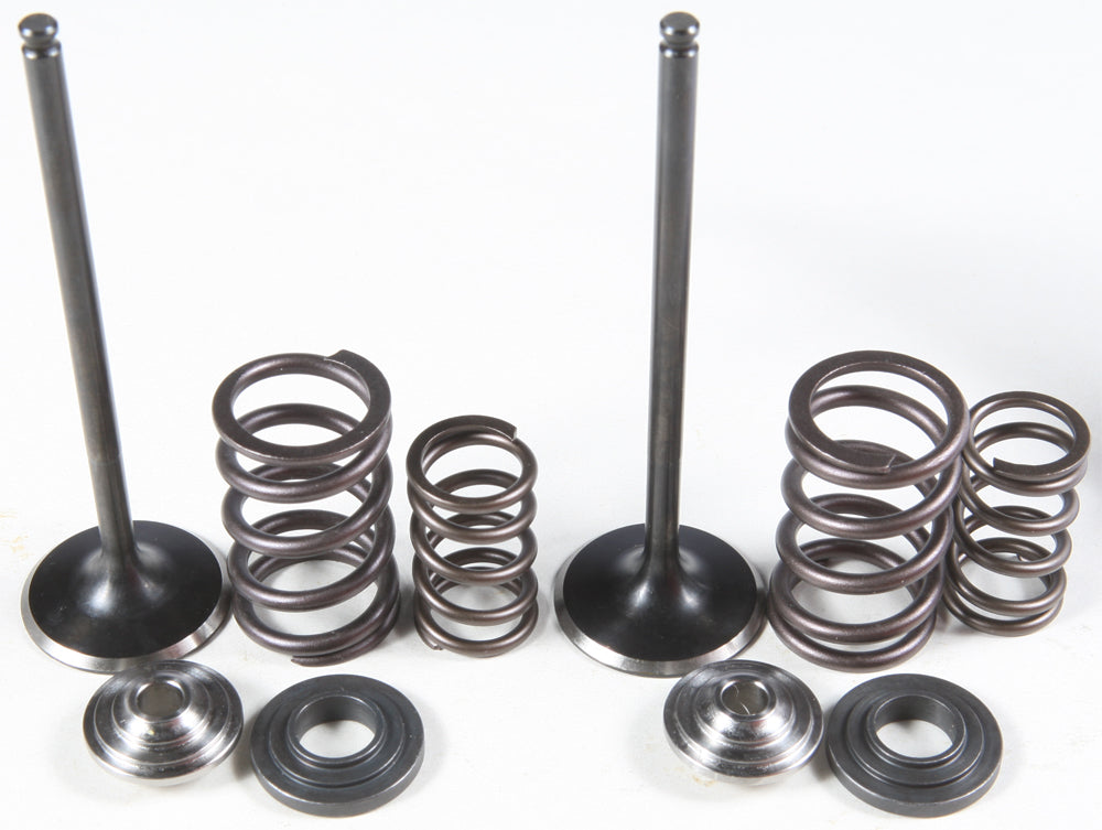 Intake Valve/Spring Kit Stainless Steel