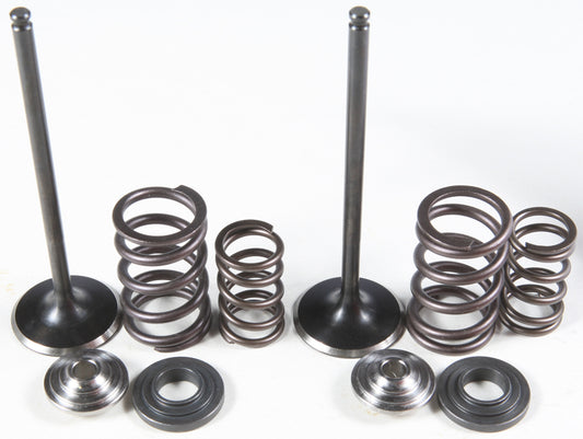 Intake Valve/Spring Kit Stainless Steel