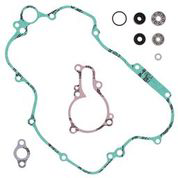 Water Pump Rebuild Kit