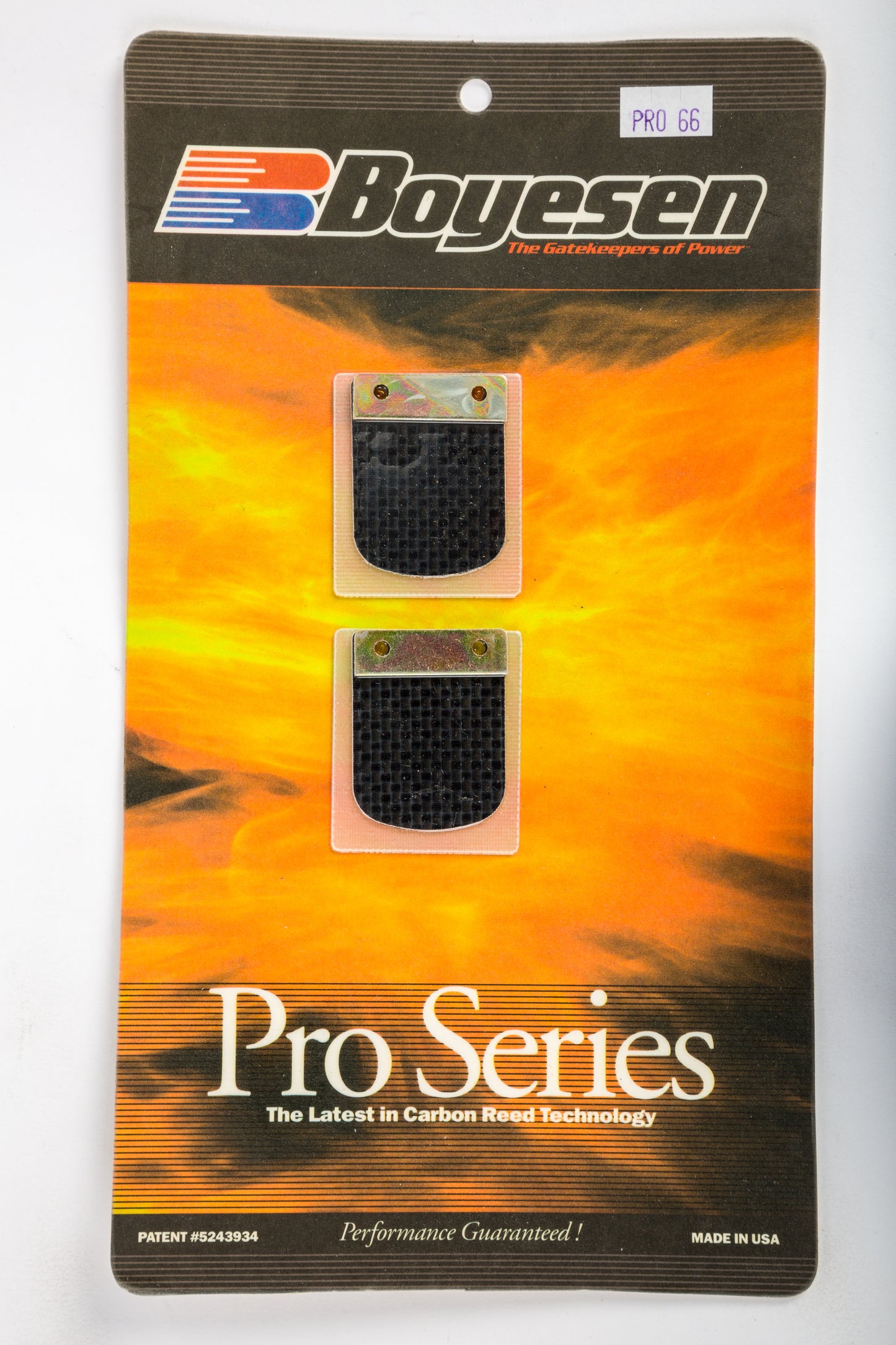 Motorcycle Pro Reeds