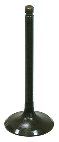 Exhaust Valve