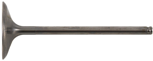 Intake Valve Titanium
