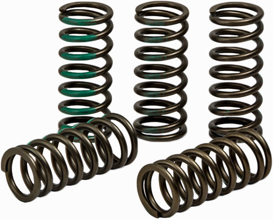 Clutch Spring Kaw