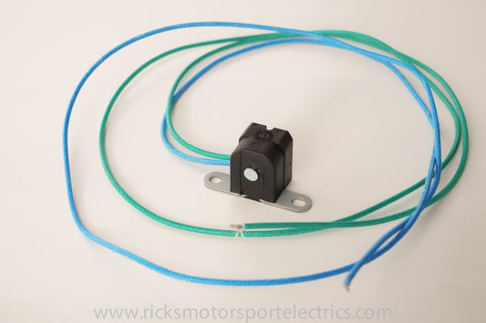 Trigger Coil