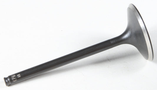 Black Diamond Intake Valve